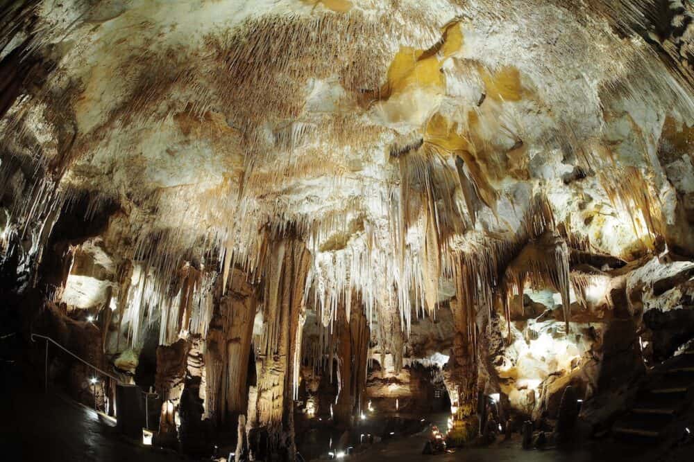 Spectacular stalactites on the roof of Tantanoola Cave. Mount Gambier, South Australia