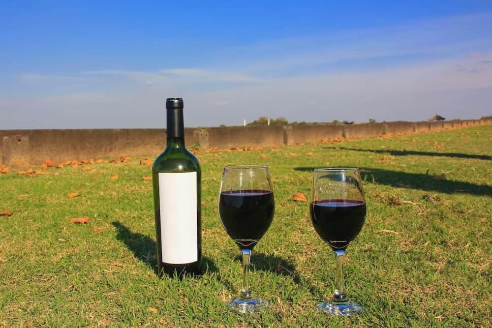 Selective focus to wine bottle close up with white label and glasses with red wine on lawn against blue sky. Nice pastime with red argentinian wine tasting on horse polo field grass.