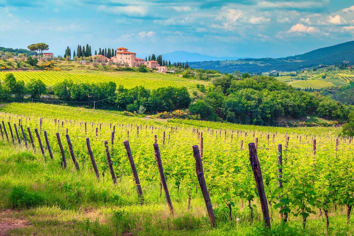 12 Best Tuscany Wine Tours from Florence for 2024