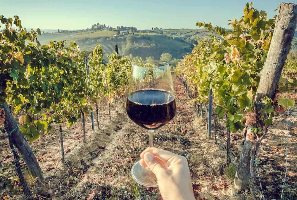 Glass of wine in hand of tourist in a natural landscape of Tuscany, with green valley of grapes. Wine beverage tasting in Italy during harvest.