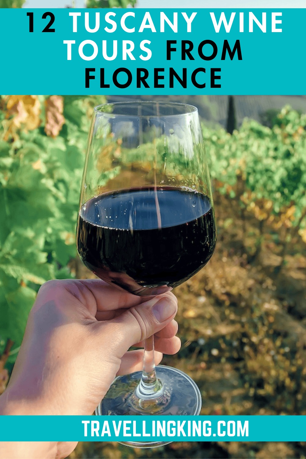 12 of the Best Tuscany Wine Tours from Florence
