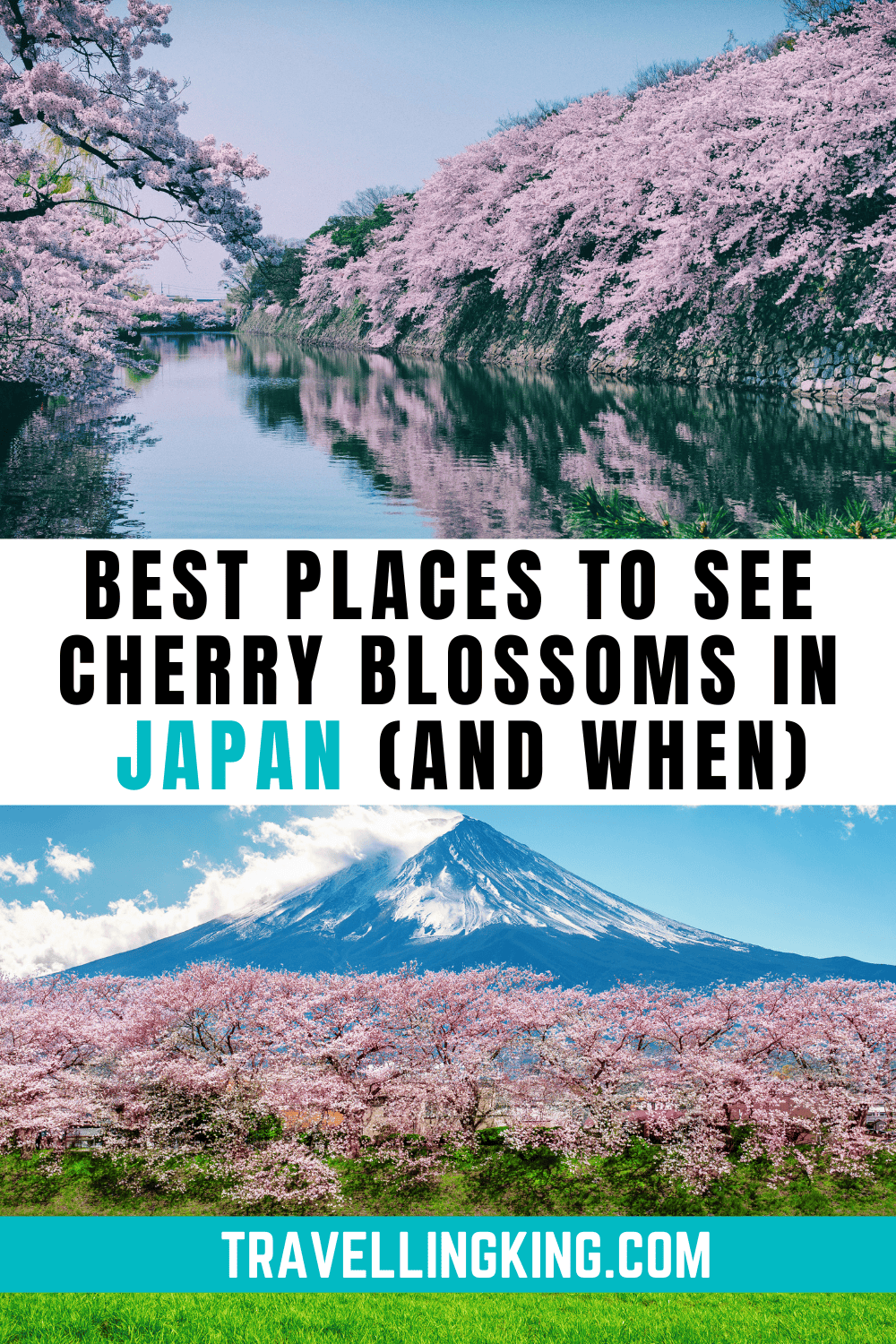 Best Places to See Cherry Blossoms in Japan (And When to Go!)