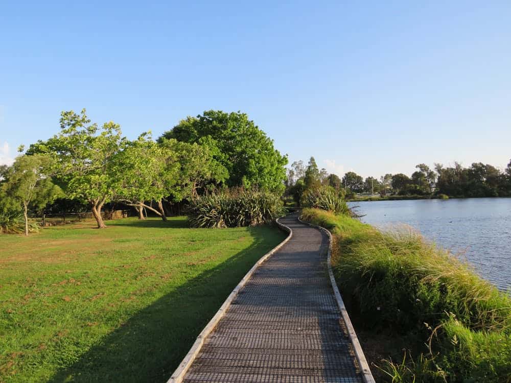 A serene lakeside walkway surrounded by lush greenery in Hamilton's Minogue Park.