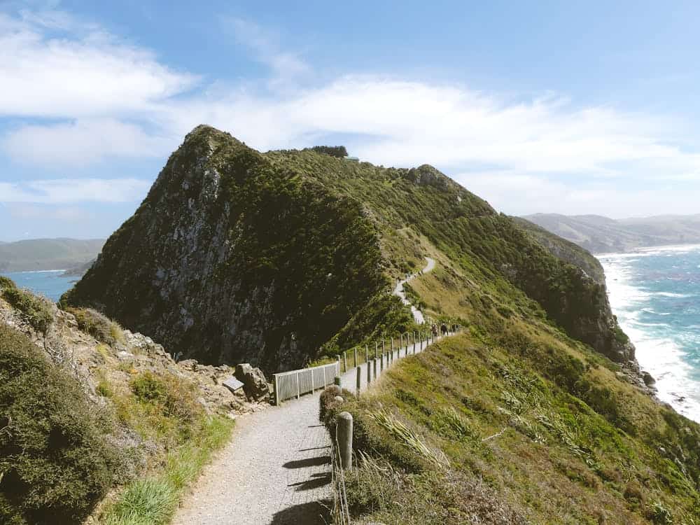 Explore a lush coastal path with stunning cliffs overlooking the vibrant ocean and clear skies.
