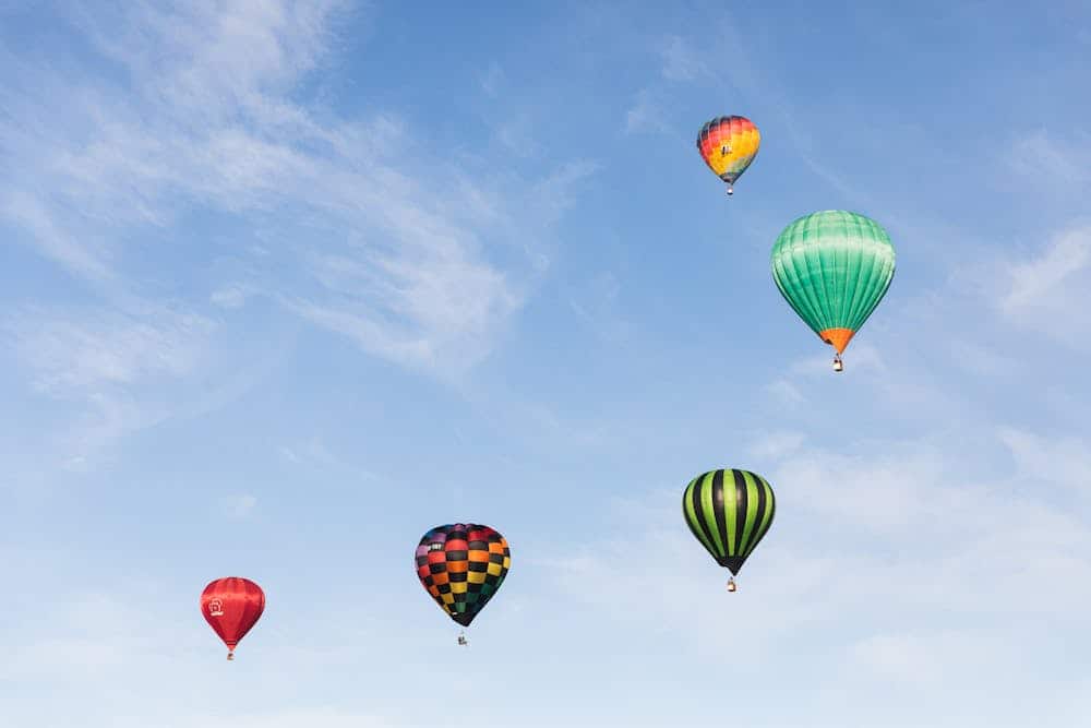 Vibrant hot air balloons floating against a clear blue sky in Hamilton, NZ.